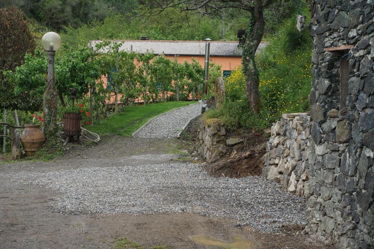 U Muinettu Alojamento de Turismo Rural La Spezia