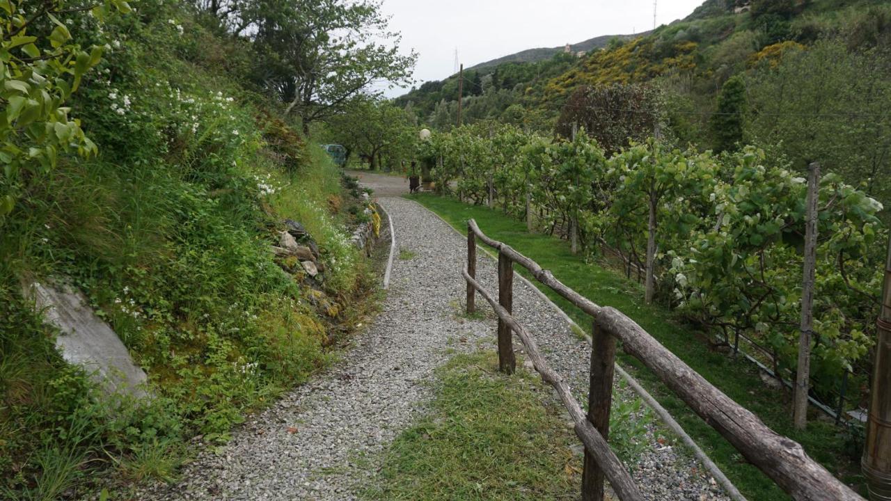 U Muinettu Alojamento de Turismo Rural *
