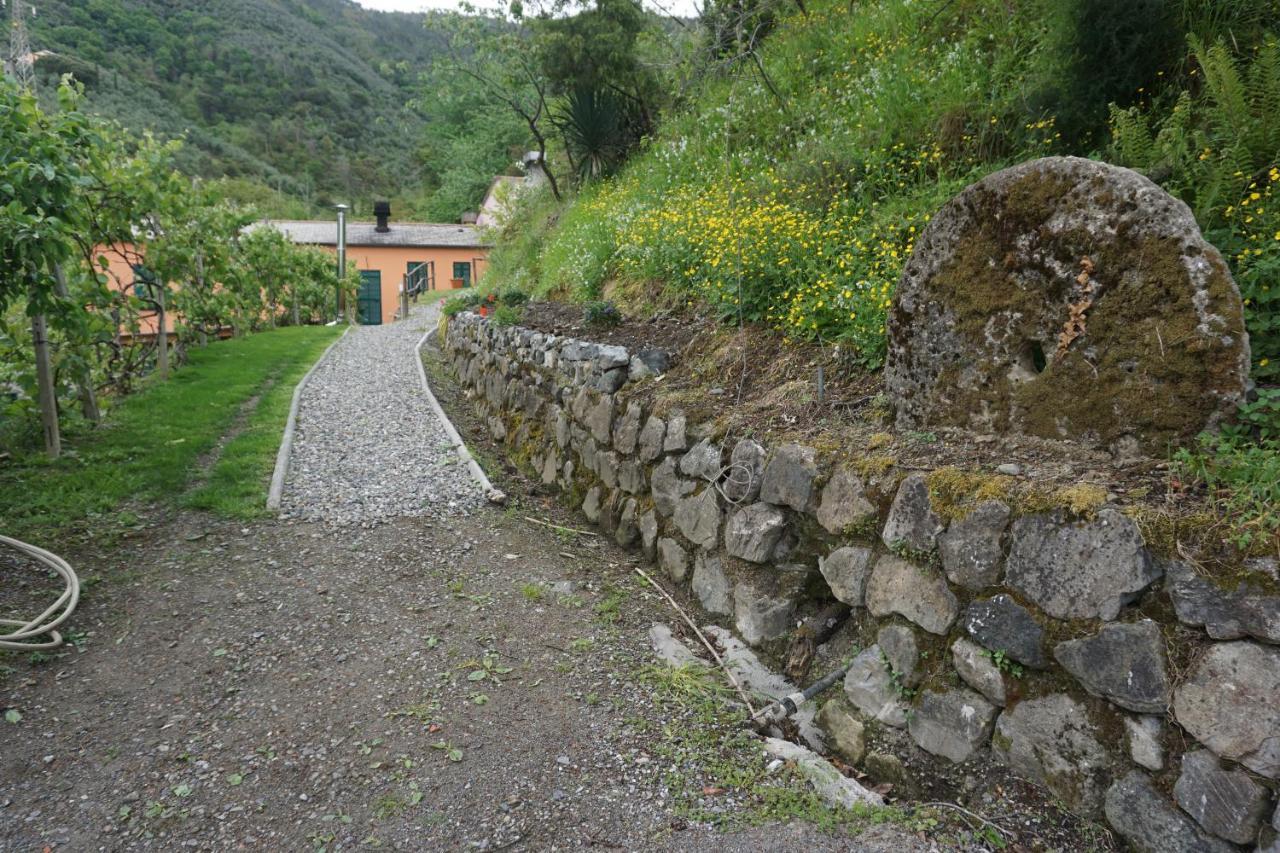 Alojamento de Turismo Rural U Muinettu *