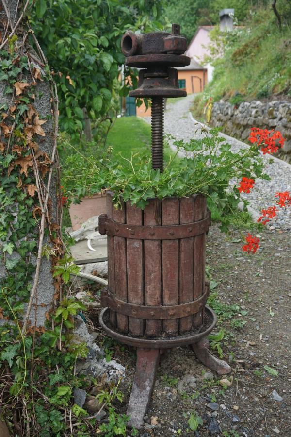Farm stay U Muinettu La Spezia