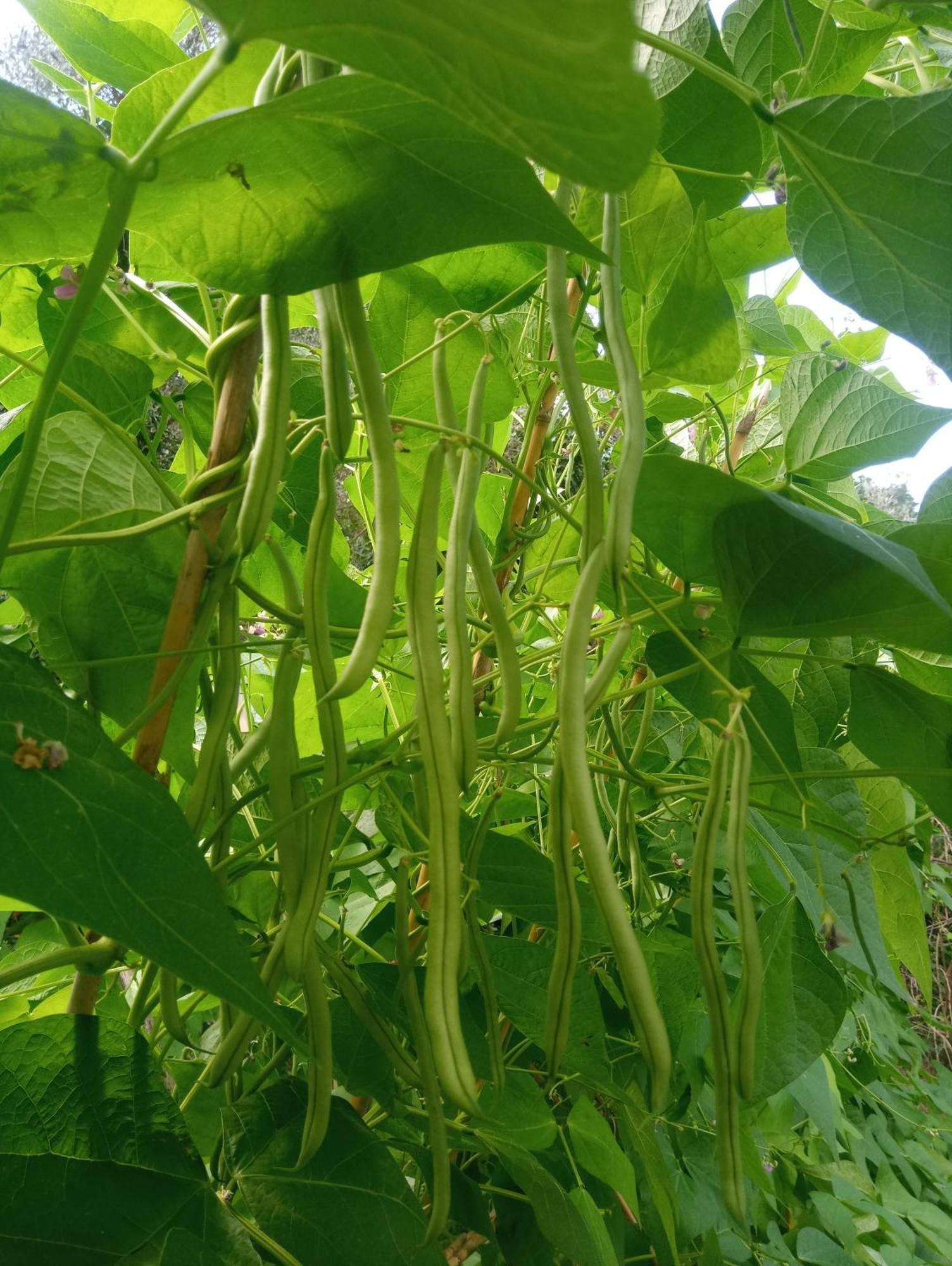 U Muinettu Farm stay